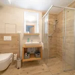 Vlcice Aparthotel 3*