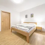 Vlcice Aparthotel 3*
