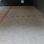 Vlcice Pec pod Snezkou